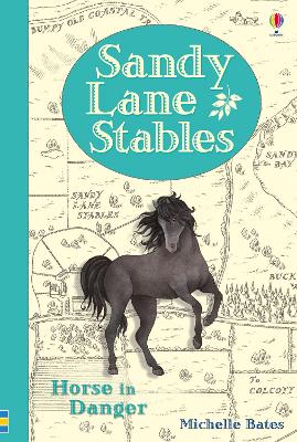 Cover of Sandy Lane Stables Horse in Danger