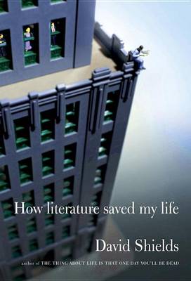 Book cover for How Literature Saved My Life