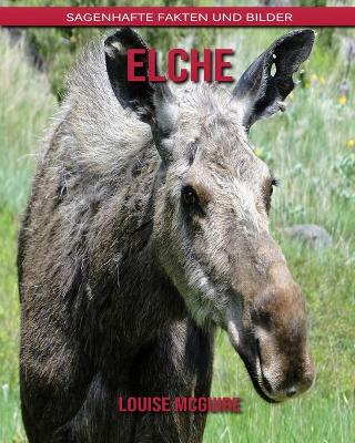 Book cover for Elche