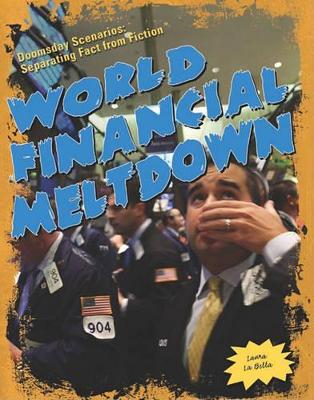 Cover of World Financial Meltdown