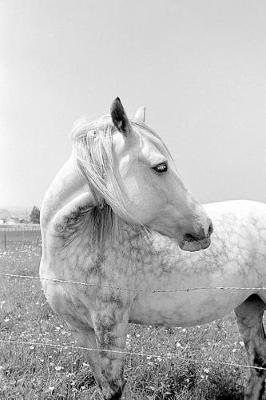 Book cover for Equine Journal Dappled Grey At Pasture