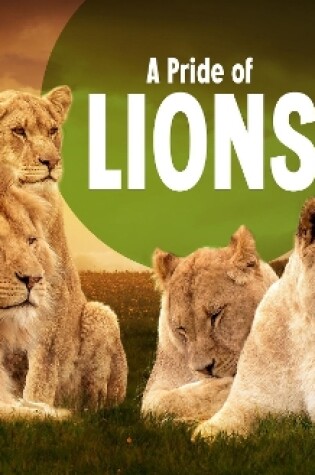 Cover of A Pride of Lions