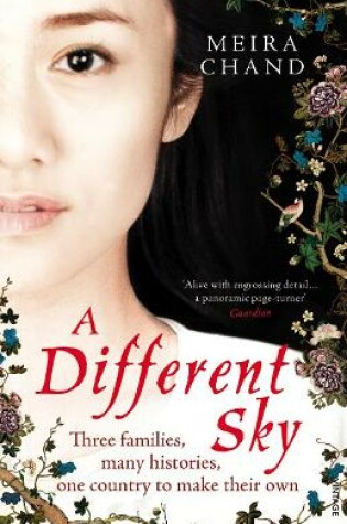 Cover of A Different Sky