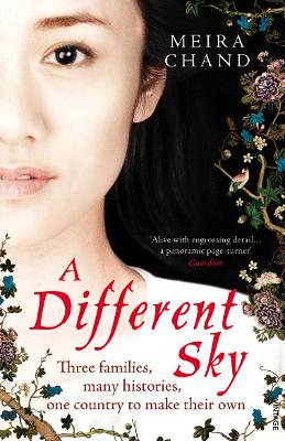 Book cover for A Different Sky