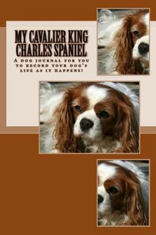 Cover of My Cavalier King Charles Spaniel