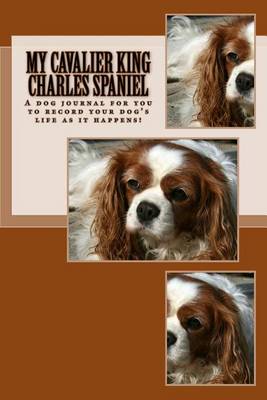 Book cover for My Cavalier King Charles Spaniel