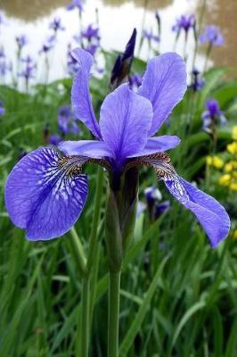 Book cover for Gorgeous Blue Iris Up Close Flower Journal