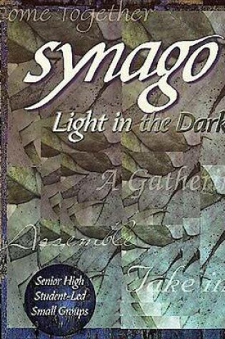 Cover of Synago Light in the Dark Leader