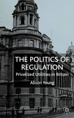 Book cover for The Politics of Regulation