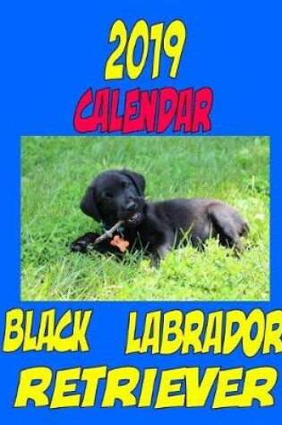 Cover of 2019 Calendar Black Labrador Retriever