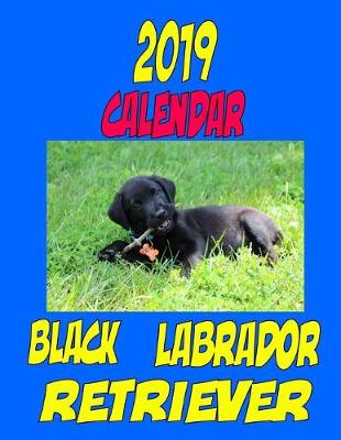 Book cover for 2019 Calendar Black Labrador Retriever