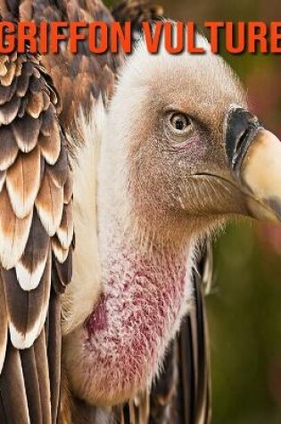 Cover of Griffon Vulture