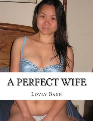 Book cover for A Perfect Wife