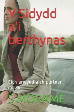 Cover of Y Sidydd a'i berthynas