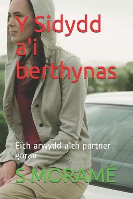 Book cover for Y Sidydd a'i berthynas
