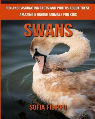 Book cover for Swans