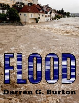 Book cover for Flood