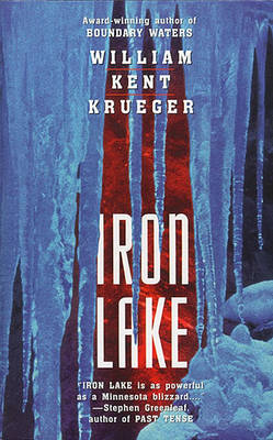 Book cover for Iron Lake