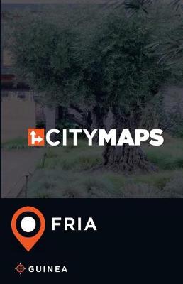 Book cover for City Maps Fria Guinea