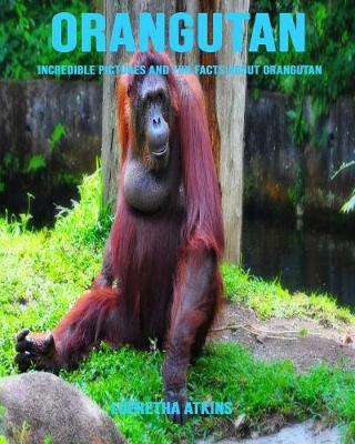 Book cover for Orangutan