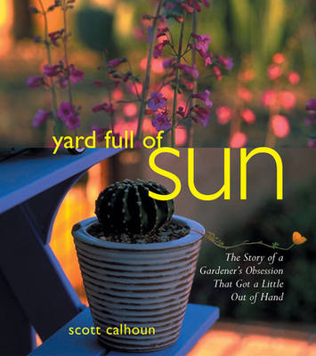 Book cover for Yard Full of Sun