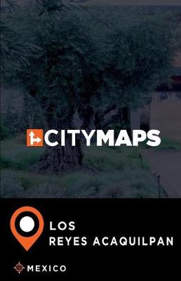 Book cover for City Maps Los Reyes Acaquilpan Mexico