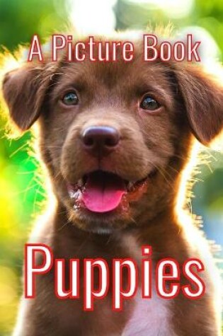 Cover of Puppies