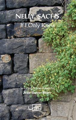 Book cover for If I Only Knew