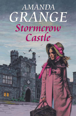 Book cover for Stormcrow Castle