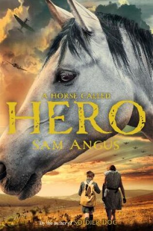 Cover of A Horse Called Hero