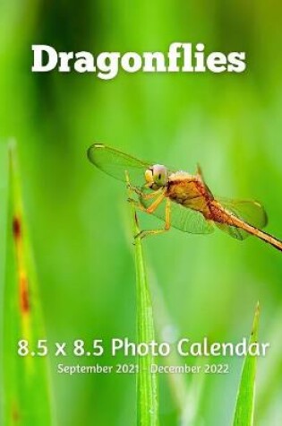 Cover of Dragonflies 8.5 X 8.5 Photo Calendar September 2021 -December 2022