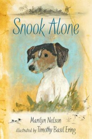 Cover of Snook Alone