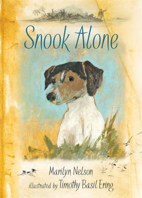 Book cover for Snook Alone