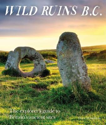 Book cover for Wild Ruins BC