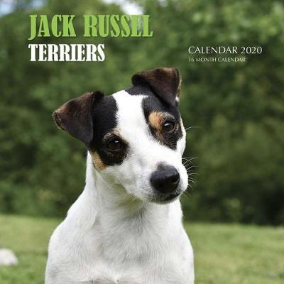 Book cover for Jack Russel Terriers Calendar 2020