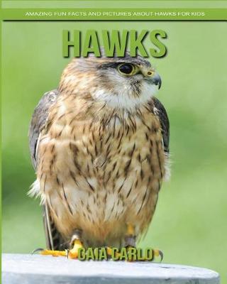 Book cover for Hawks