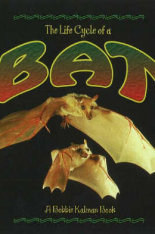 Cover of The Life Cycle of the Bat