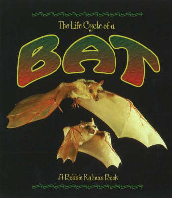 Book cover for The Life Cycle of the Bat