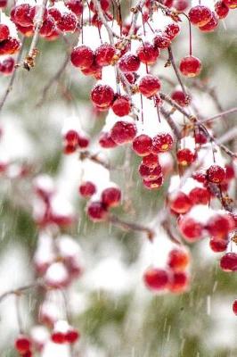 Cover of 2019 Daily Planner Winter Berries Red White Christmas Colors Snowstorm 384 Pages