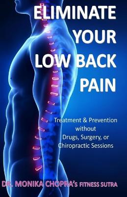 Book cover for Eliminate your Low Back Pain