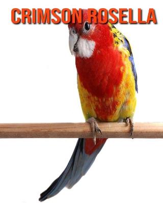 Book cover for Crimson Rosella