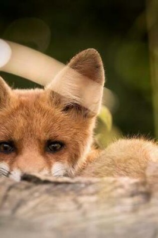 Cover of Little Fox Peering Out Behind a Log Journal