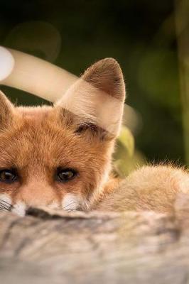 Book cover for Little Fox Peering Out Behind a Log Journal