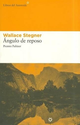 Book cover for Ángulo de Reposo