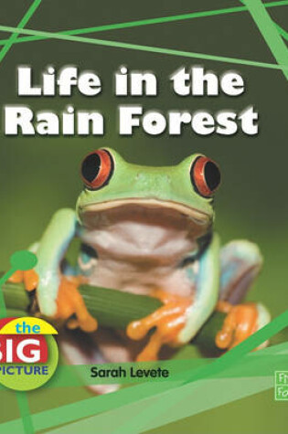 Cover of Life in the Rain Forest