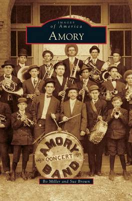 Book cover for Amory