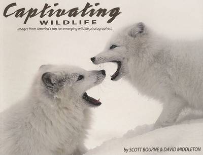 Book cover for Captivating Wildlife