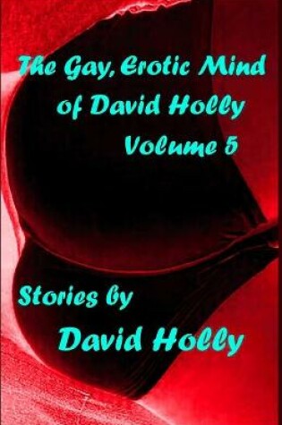 Cover of The Gay, Erotic Mind of David Holly, Volume 5