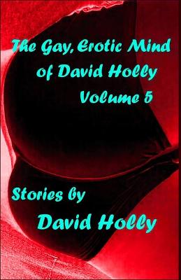 Book cover for The Gay, Erotic Mind of David Holly, Volume 5