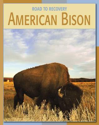 Book cover for American Bison